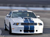 ҰRShelby GT350